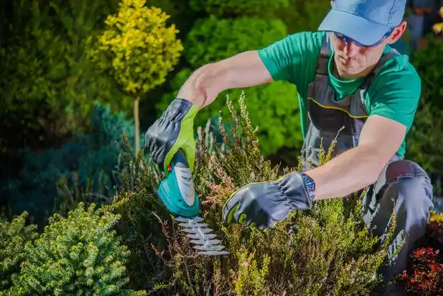 landscaping services Dollar Bay